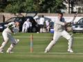 mclaren of drumpellier batting.jpg